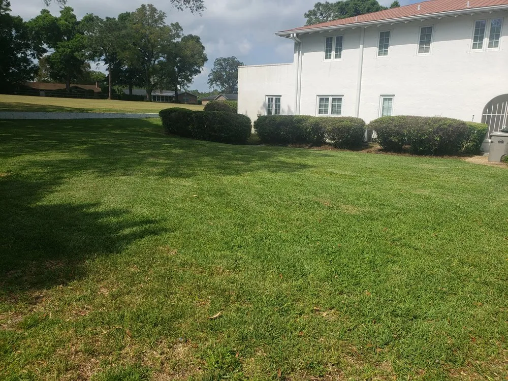 Local yard cleanup service for beautiful yards across Pensacola, FL - Giglio Lawn Services