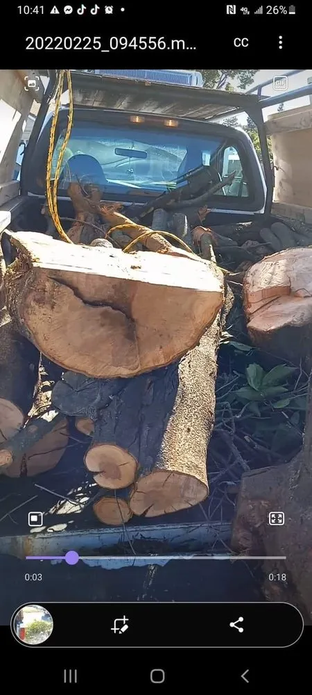 Local landscape installation for outdoor upgrades across Fremont, CA - Gil Landscaping