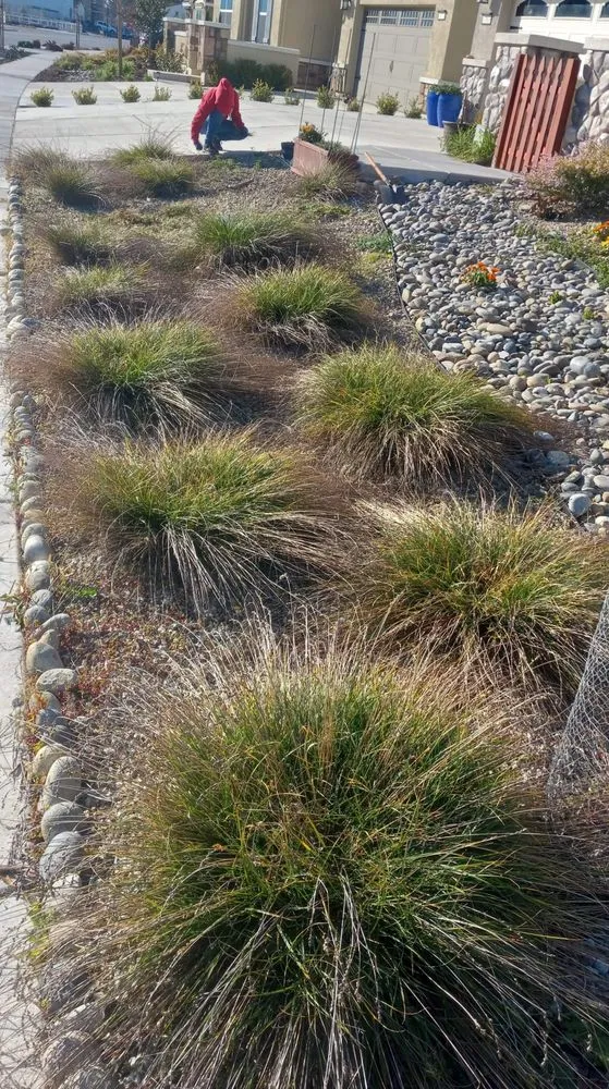 Professional garden landscaping in Fremont, CA - Gil Landscaping