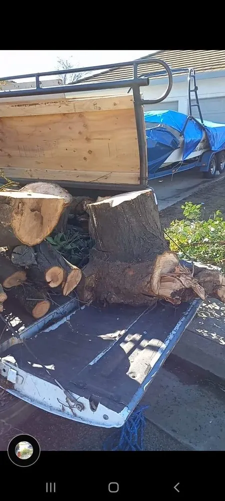 Professional residential landscaping for beautiful yards in Fremont, CA by Gil Landscaping