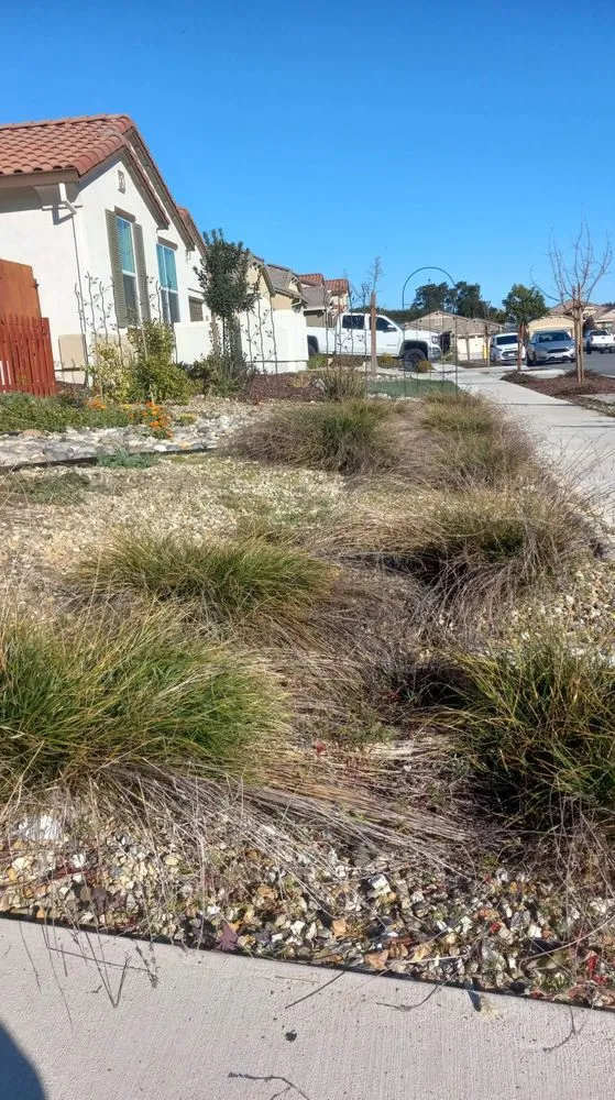 Affordable residential landscaping for year-round maintenance across Fremont, CA - Gil Landscaping