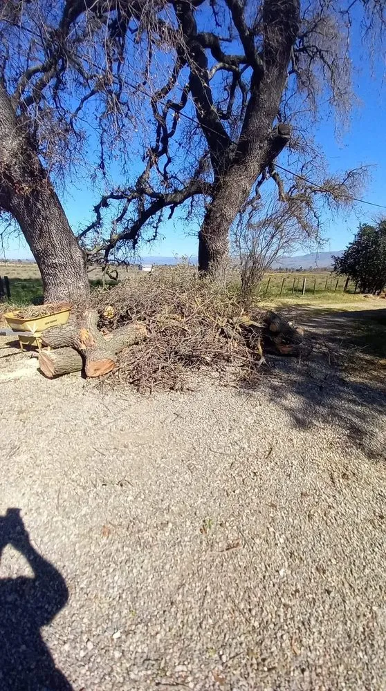 Custom garden landscaping for year-round maintenance across Fremont, CA - Gil Landscaping