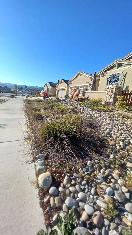 Local landscaping services for year-round maintenance across Fremont, CA - Gil Landscaping