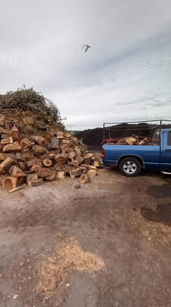 Reliable landscape installation in Fremont, CA - Gil Landscaping