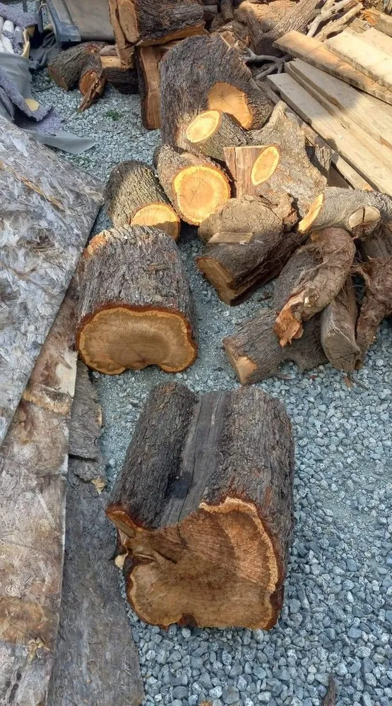 Custom landscape design in Fremont, CA by Gil Landscaping