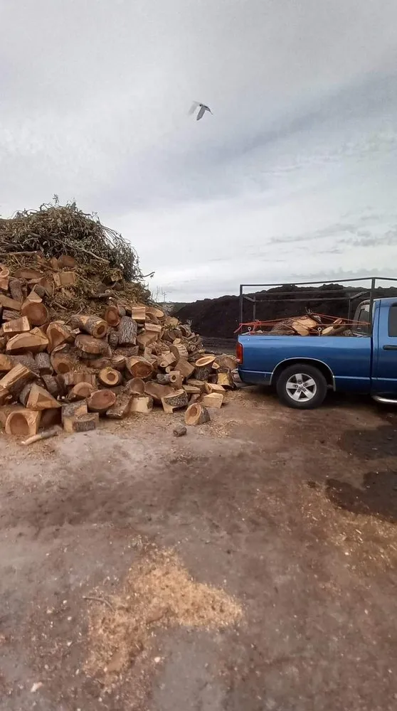 Local lawn mowing service in Fremont, CA by Gil Landscaping