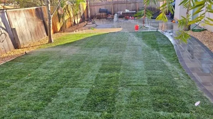 Affordable lawn mowing service in Vallejo, CA by Gil Landscaping Services