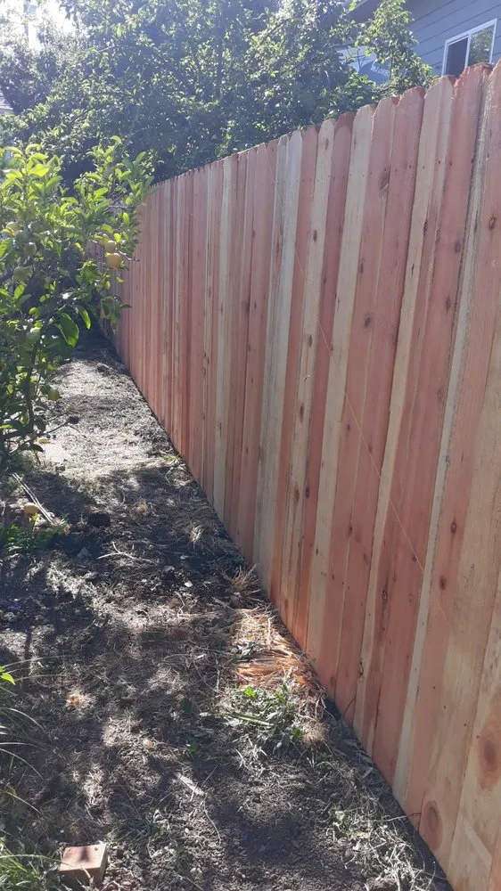 Professional yard maintenance experts serving Vallejo, CA - Gil Landscaping Services