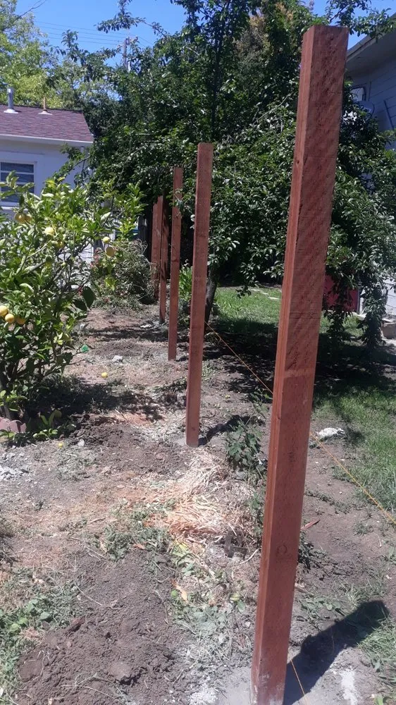 Trusted outdoor landscaping in Vallejo, CA - Gil Landscaping Services