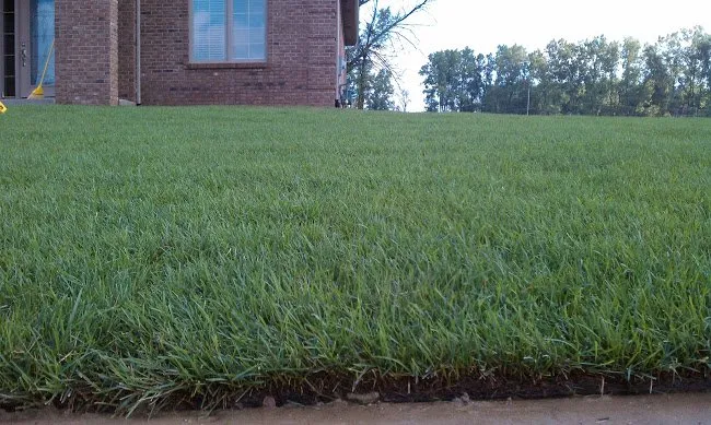 Top-rated lawn care service for outdoor upgrades in Dryden, MI by Gilbert & Son's Landscaping
