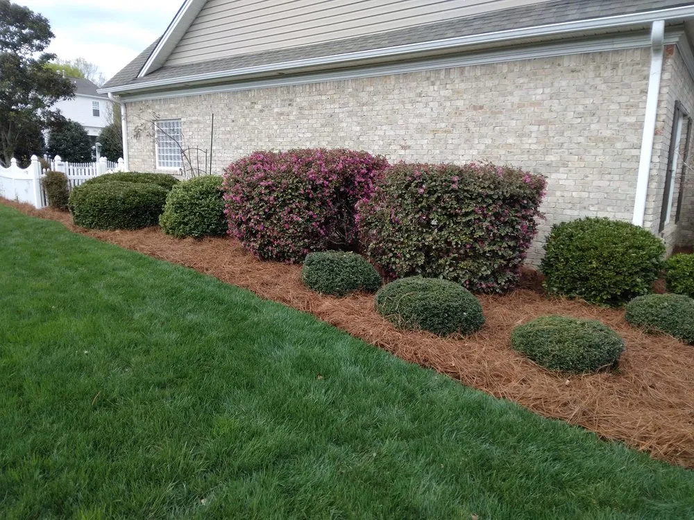 Local yard maintenance experts serving Mocksville, NC - Gilbert Grounds Management