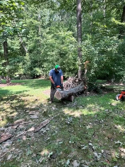 Affordable yard maintenance experts serving Mocksville, NC - Gilbert Grounds Management