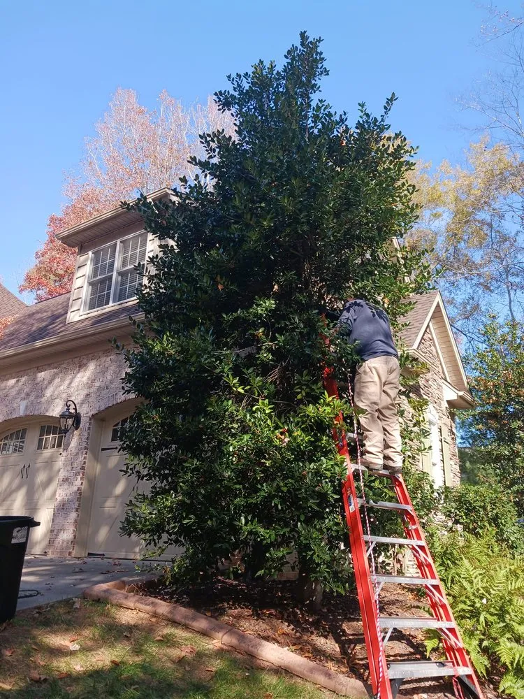 Trusted yard cleanup service with custom design in Mocksville, NC by Gilbert Grounds Management