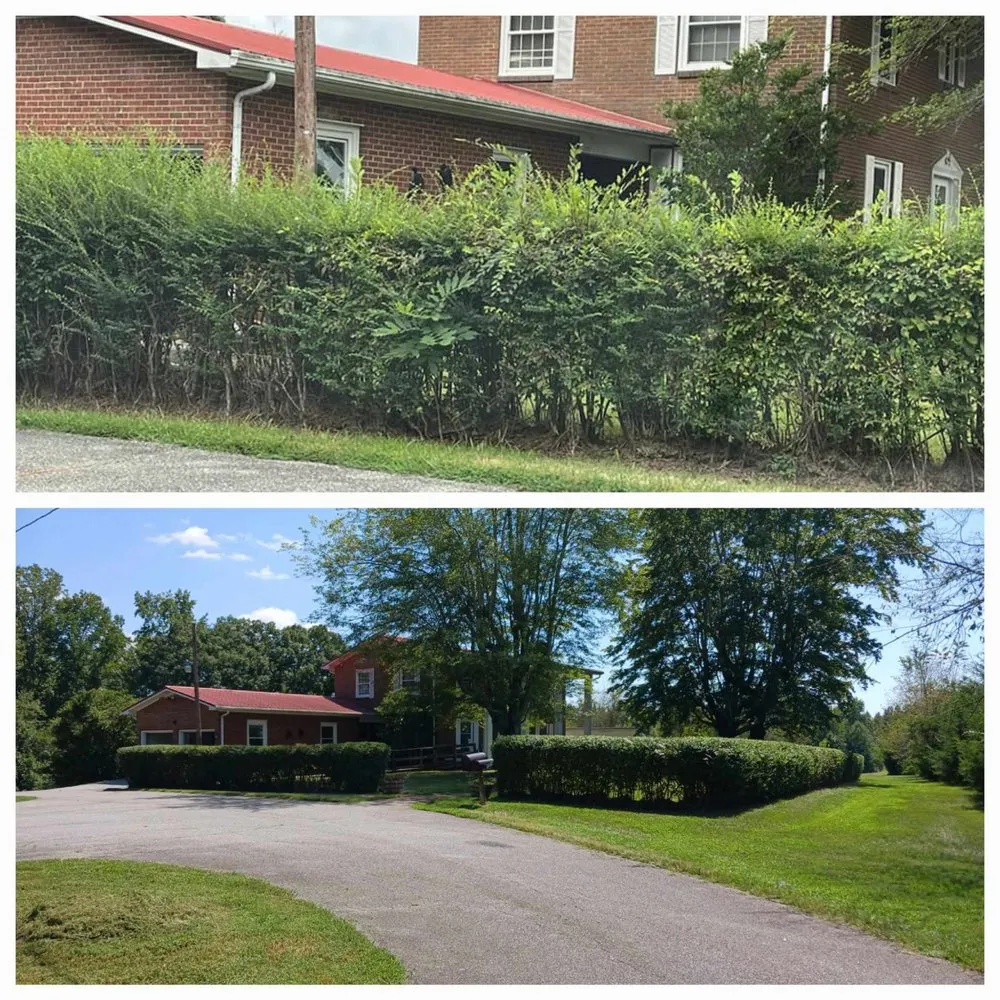 Affordable lawn care service for outdoor upgrades in Mocksville, NC by Gilbert Grounds Management