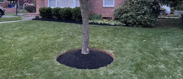 Expert residential landscaping in New Market, MD by Gilbert Landscaping