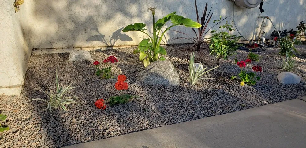 Professional residential landscaping near you in Orange County, CA by Gilberto Garden Landscape,tree Triming and Removal