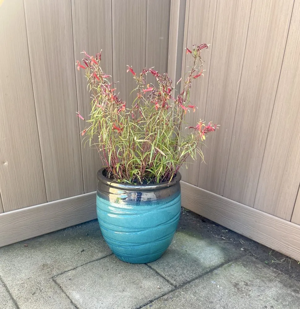 Local yard maintenance experts serving Orange County, CA - Gilberto Garden Landscape,tree Triming and Removal