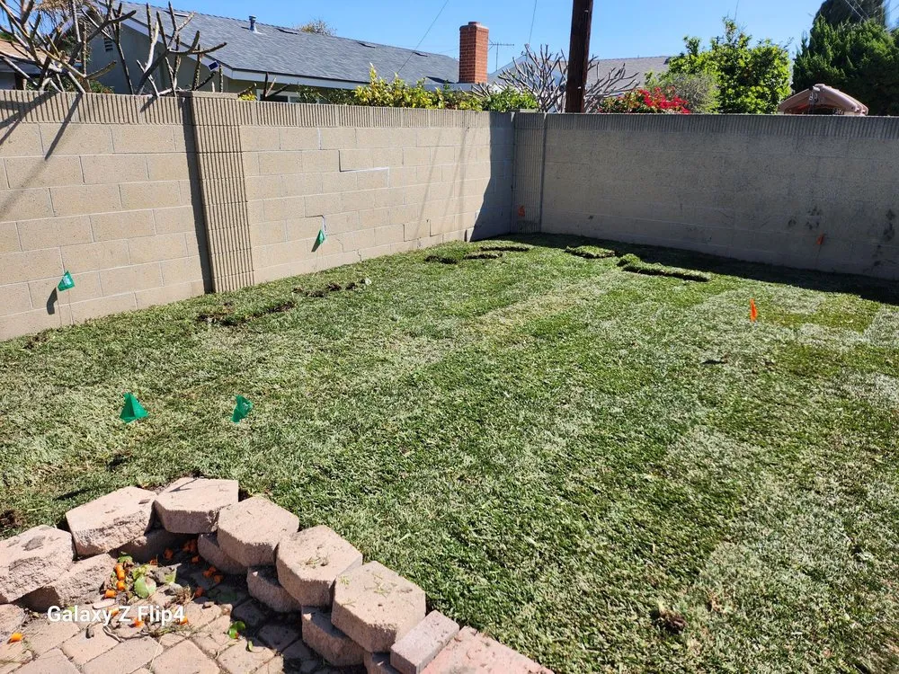 Top-rated landscape installation for outdoor upgrades across Orange County, CA - Gilberto Garden Landscape,tree Triming and Removal