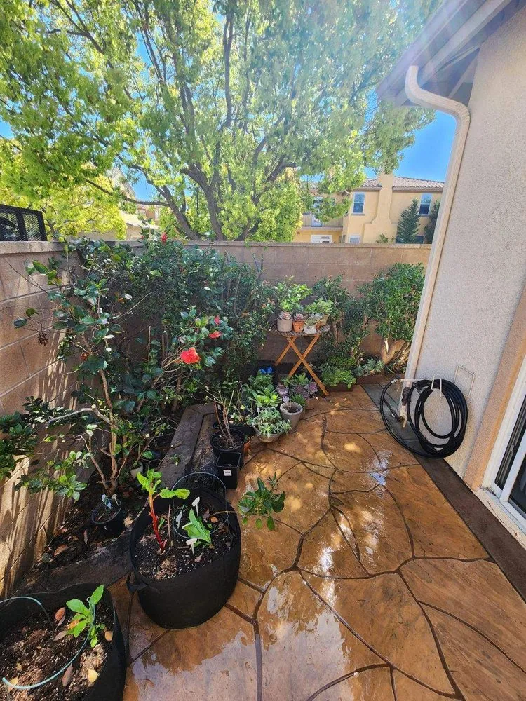 Professional garden landscaping in Orange County, CA by Gilberto Garden Landscape,tree Triming and Removal