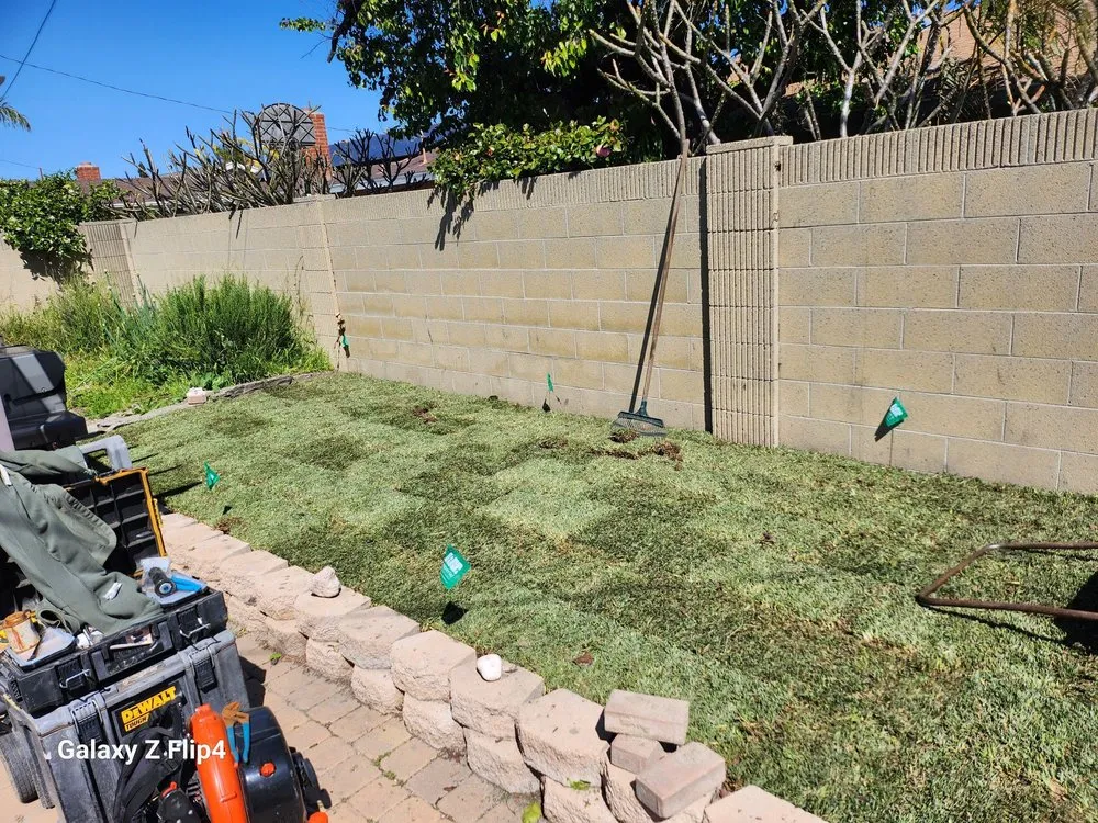 Trusted garden landscaping for year-round maintenance across Orange County, CA - Gilberto Garden Landscape,tree Triming and Removal