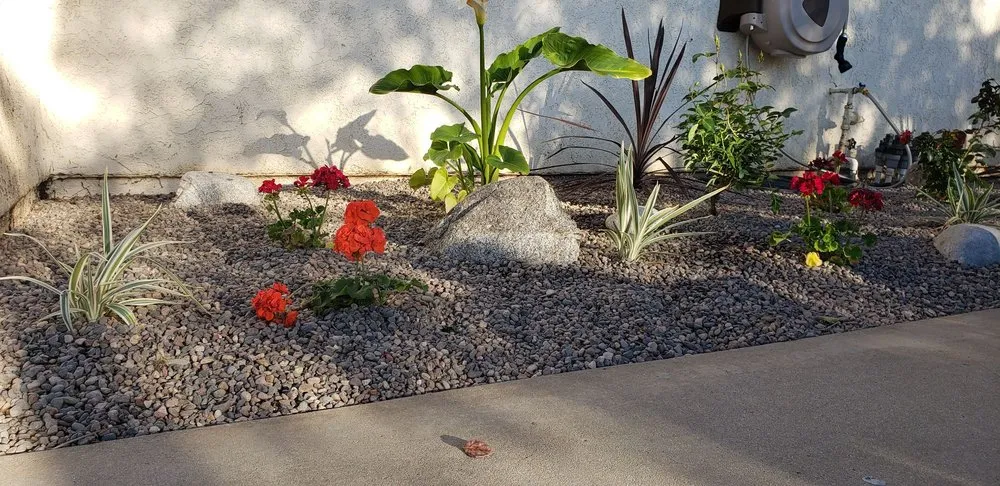 Local lawn mowing service for year-round maintenance in Orange County, CA by Gilberto Garden Landscape,tree Triming and Removal