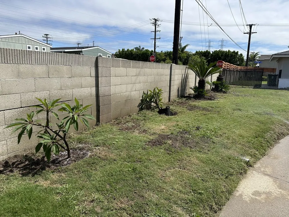 Affordable landscaping services for beautiful yards across Orange County, CA - Gilberto Garden Landscape,tree Triming and Removal