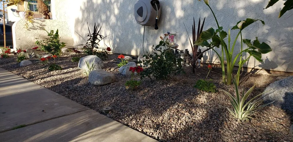 Professional yard cleanup service in Orange County, CA by Gilberto Garden Landscape,tree Triming and Removal