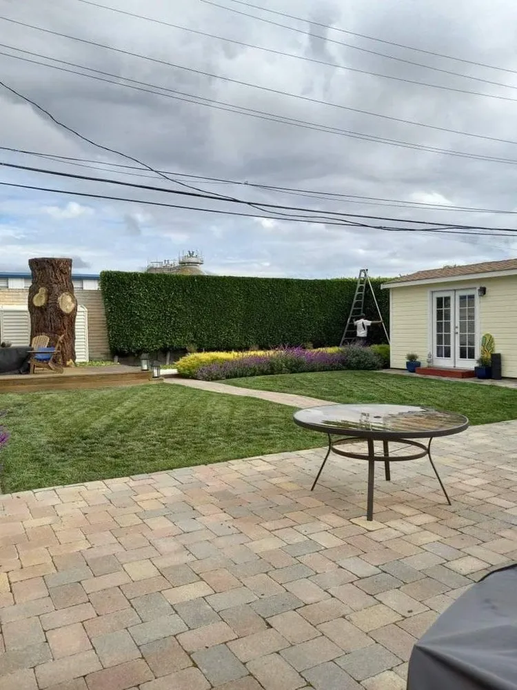 Local yard cleanup service for residential properties across San Mateo, CA - Gilberto Landscaping Gardening service