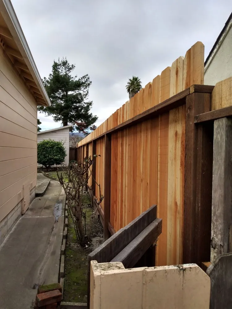 Expert residential landscaping in San Mateo, CA by Gilberto Landscaping Gardening service