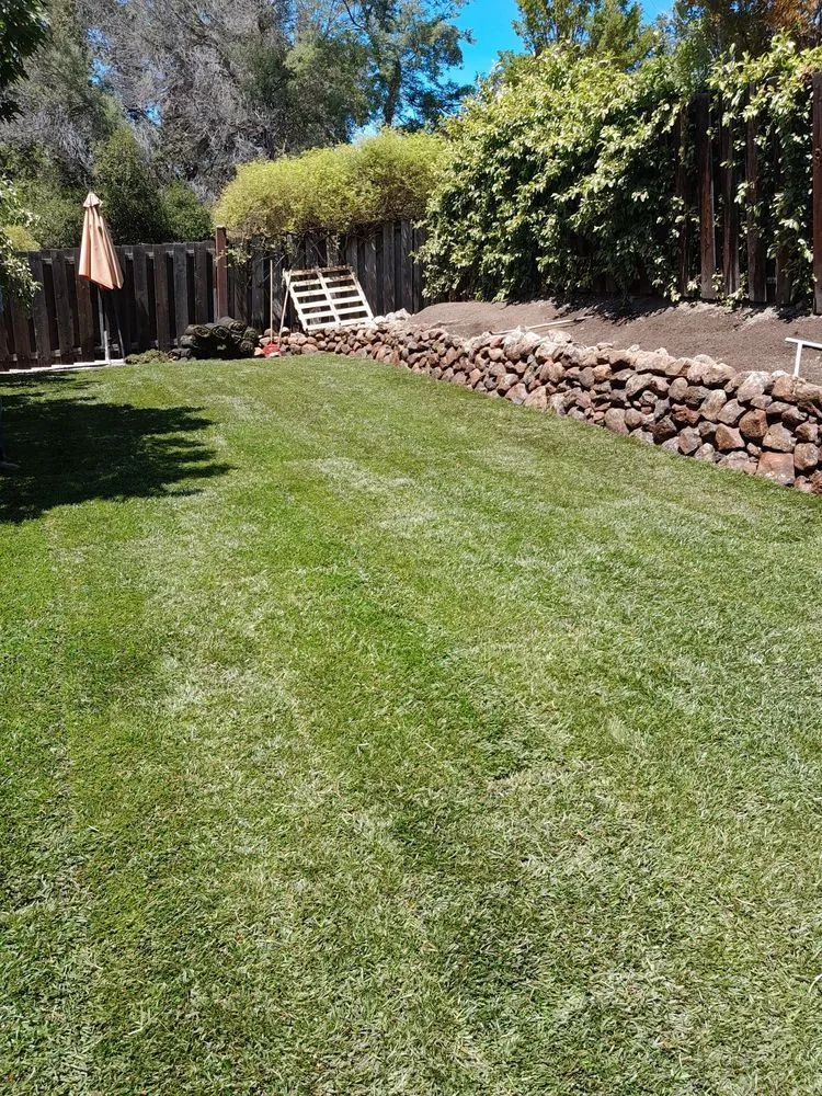 Custom landscape installation experts serving San Mateo, CA - Gilberto Landscaping Gardening service