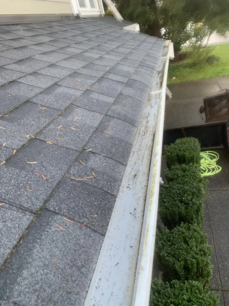 Professional yard maintenance for beautiful yards in Olympia, WA by Gilberto Landscaping