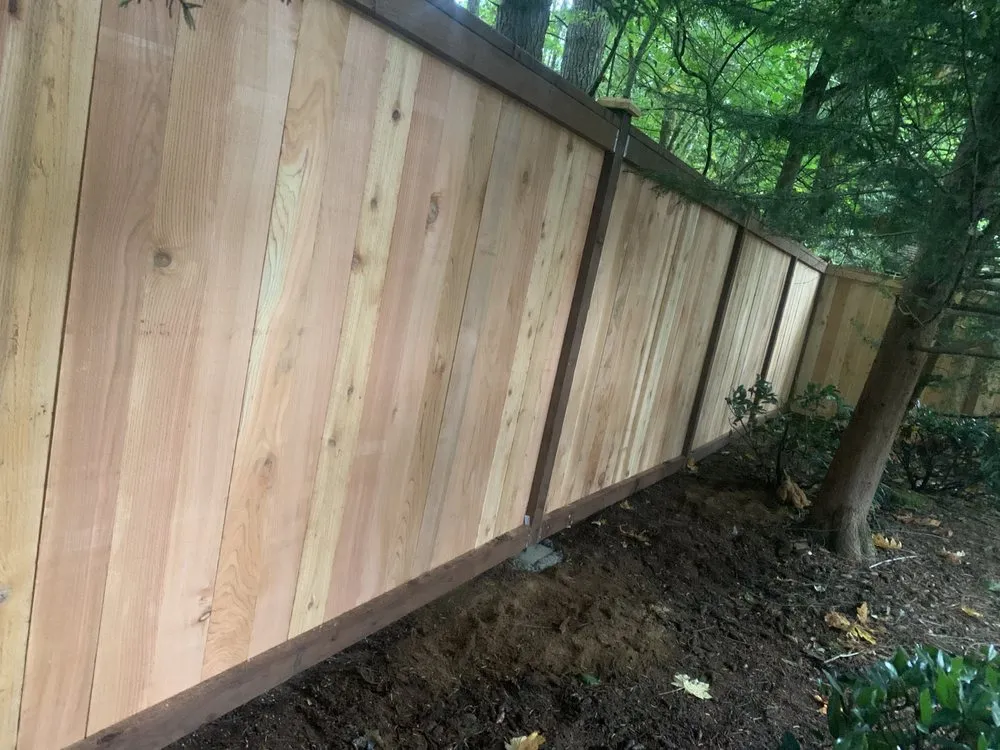 Affordable yard cleanup service in Olympia, WA by Gilberto Landscaping