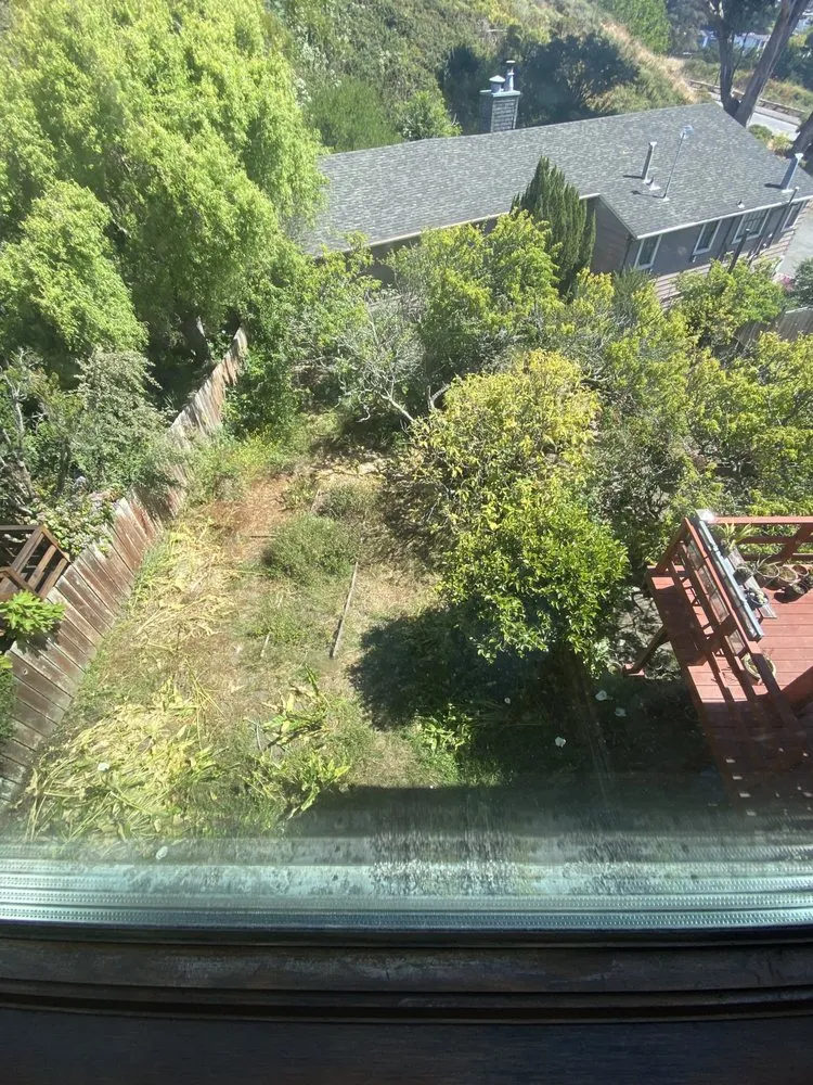 Trusted yard cleanup service in Pacifica, CA by Gilberto's Landscape & Gardening