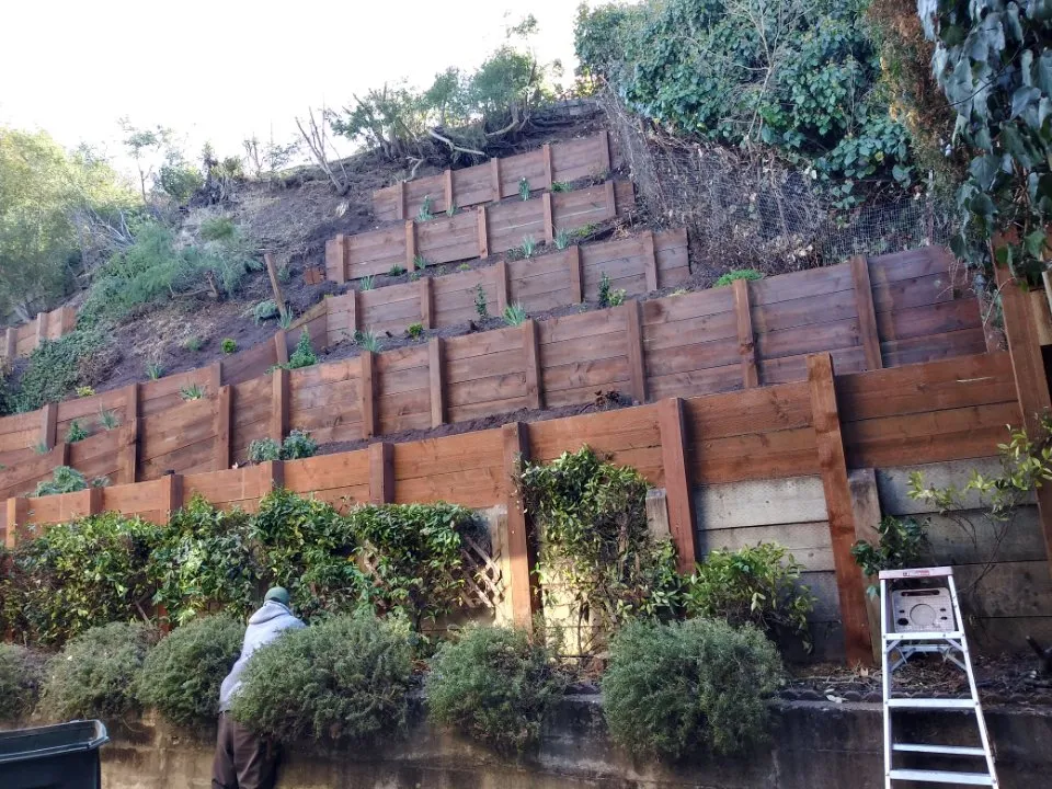 Custom lawn mowing service for residential properties across Pacifica, CA - Gilberto's Landscape & Gardening