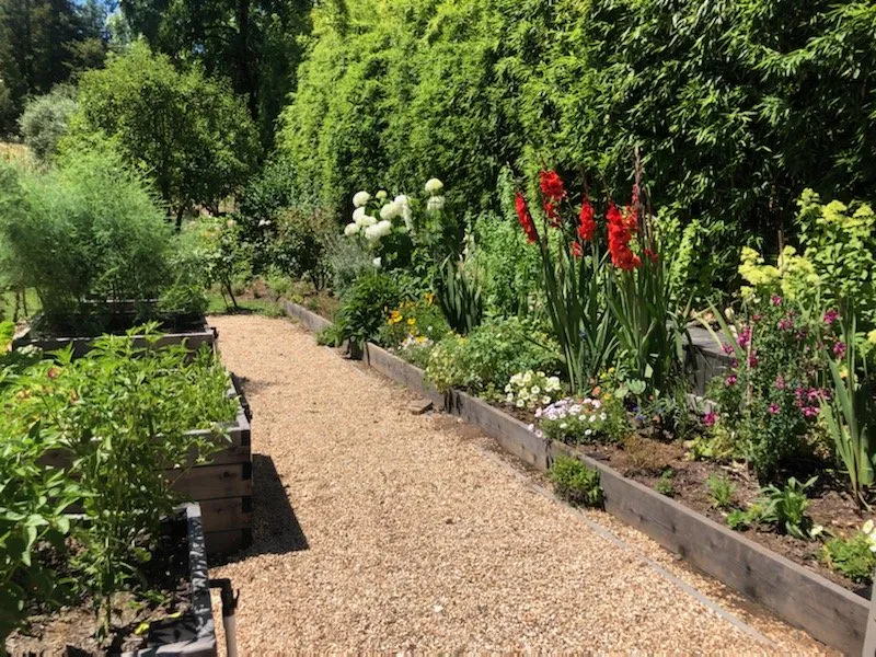 Local lawn care service in Healdsburg, CA - Gilberto’s Landscaping Services