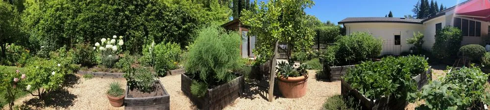 Top-rated yard maintenance experts serving Healdsburg, CA - Gilberto’s Landscaping Services