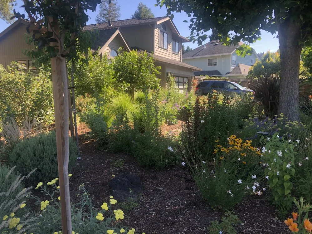 Professional yard maintenance in Healdsburg, CA - Gilberto’s Landscaping Services