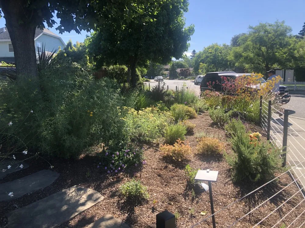 Professional landscape design in Healdsburg, CA by Gilberto’s Landscaping Services