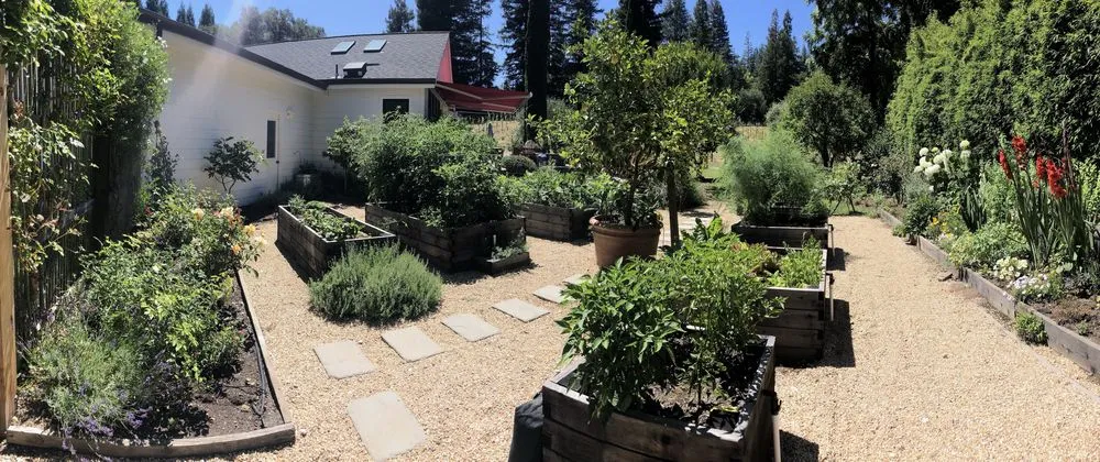 Custom outdoor landscaping in Healdsburg, CA by Gilberto’s Landscaping Services