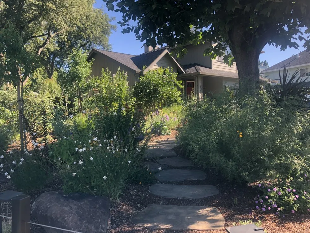 Local lawn mowing service in Healdsburg, CA by Gilberto’s Landscaping Services