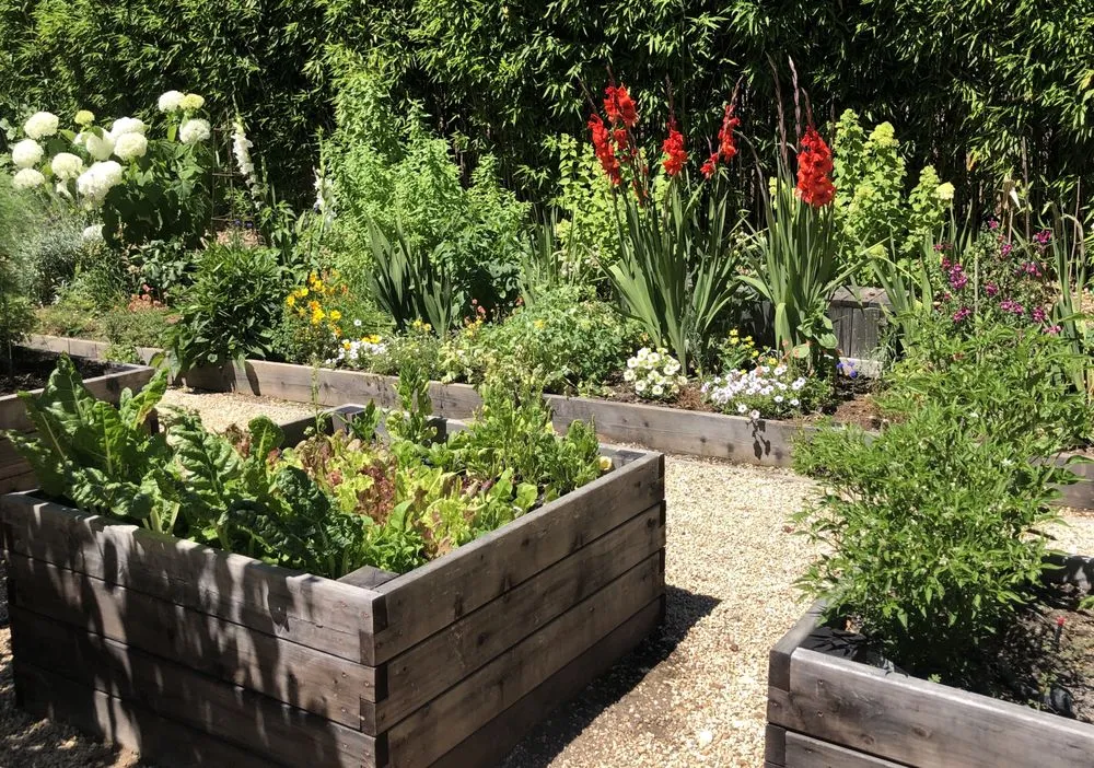 Top-rated residential landscaping in Healdsburg, CA - Gilberto’s Landscaping Services