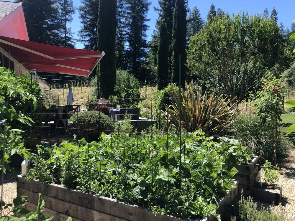 Affordable landscaping services for residential properties in Healdsburg, CA by Gilberto’s Landscaping Services