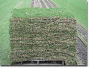 Professional lawn mowing service experts serving Pace, FL - Gilberts Landscape & Shrubs