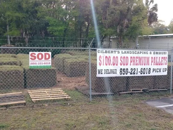 Top-rated lawn care service in Pace, FL - Gilberts Landscape & Shrubs