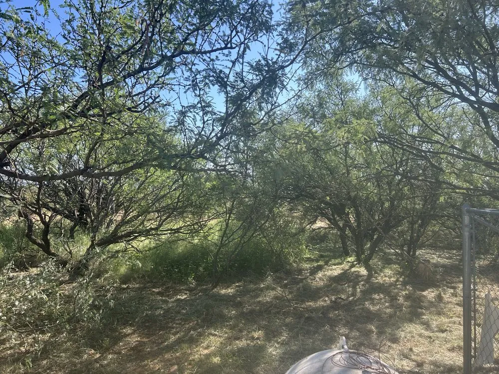 Local landscape installation experts serving Sierra Vista, AZ - Gilbert’s Landscaping