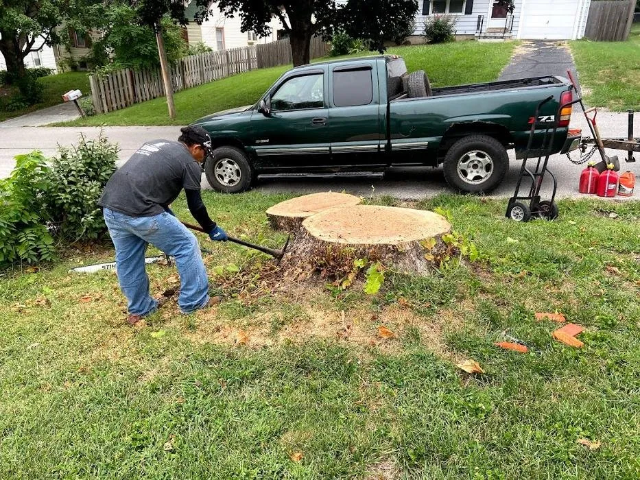 Professional yard maintenance in Kansas City, MO - Gilbert's Stump Grinding and Landscaping