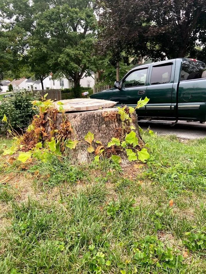 Expert lawn mowing service in Kansas City, MO - Gilbert's Stump Grinding and Landscaping