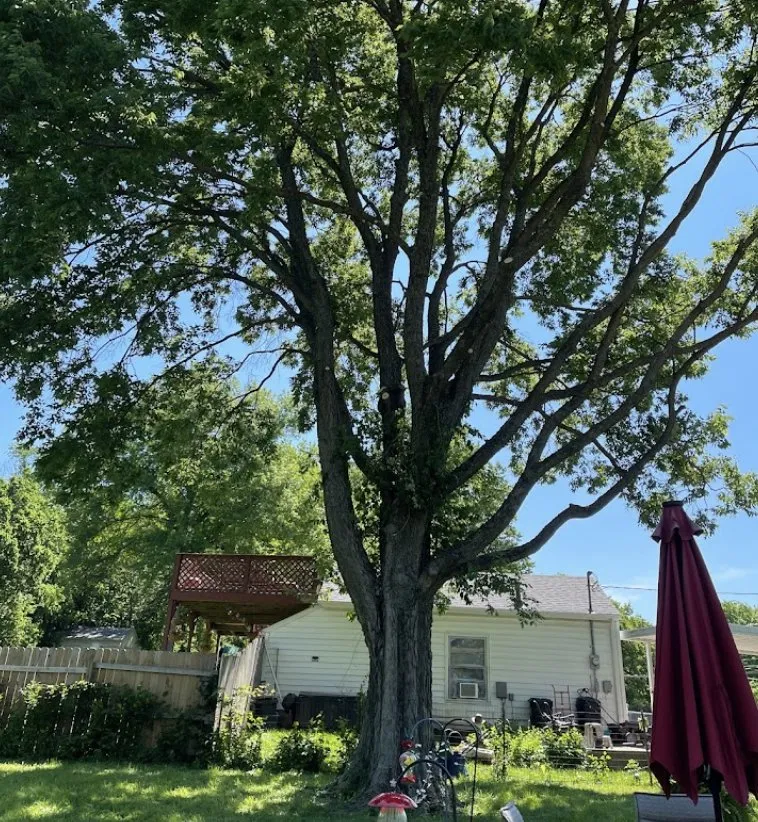 Reliable garden landscaping for year-round maintenance across Kansas City, MO - Gilbert's Stump Grinding and Landscaping