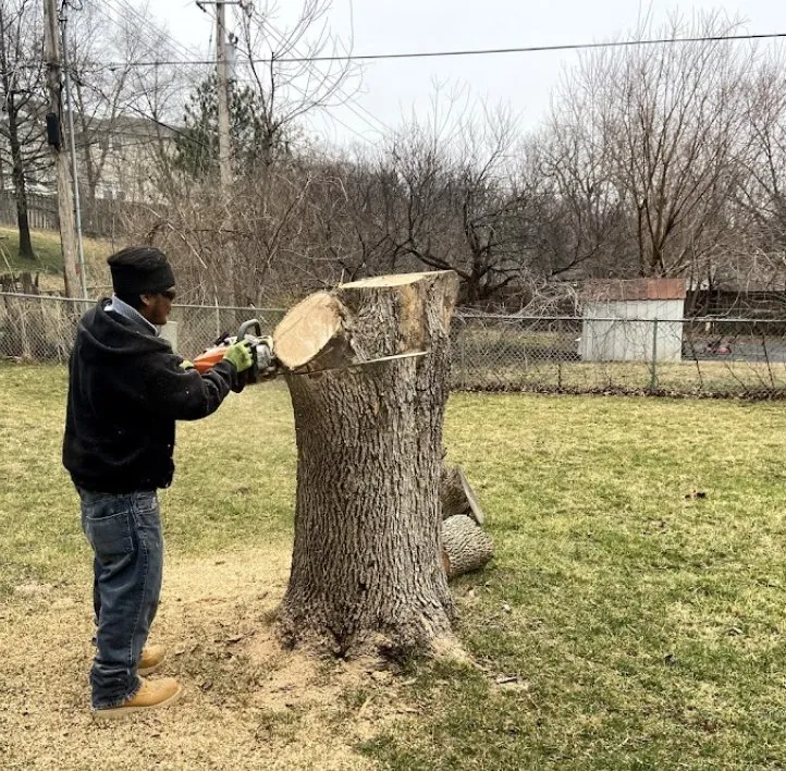 Trusted landscape installation for beautiful yards across Kansas City, MO - Gilbert's Stump Grinding and Landscaping