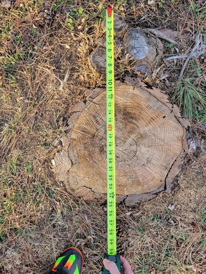 Reliable lawn care service experts serving Kansas City, MO - Gilbert's Stump Grinding and Landscaping